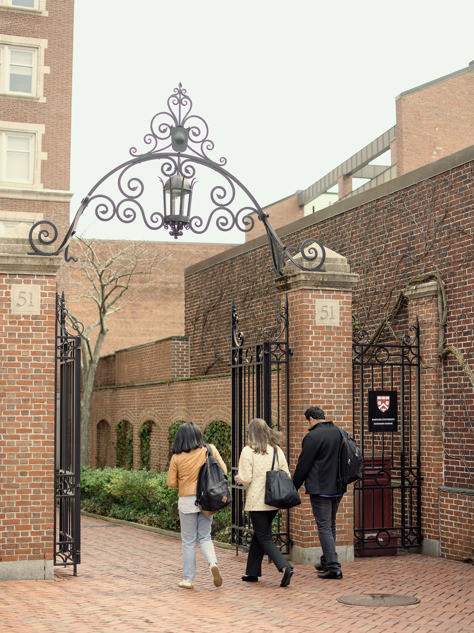A group of Harvard Extension School students walk through a gate on campus.